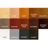 Bondex 2 in 1 Waterproofing Varnish, vernice impregnante 2in1