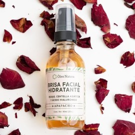 Brisa Facial Hidratante, Refrescante y Calmante | Agua de Rosas, Ácido Hialurónico, Aloe Vera y Centella Asiática | Ideal para Todo Tipo de Piel, Skin