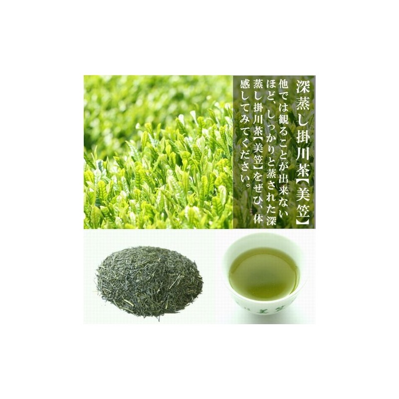 New Tea Deep Steamed Kakegawa Tea, Produced in 2024 (Shizuoka