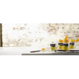 Winsor & Newton WN Galleria H. Carvable Model, 250 ml (Pack of 1) ACFGHCMP250