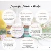 Kit Aceites Esenciales Lavanda, Limón Y Menta Young Living