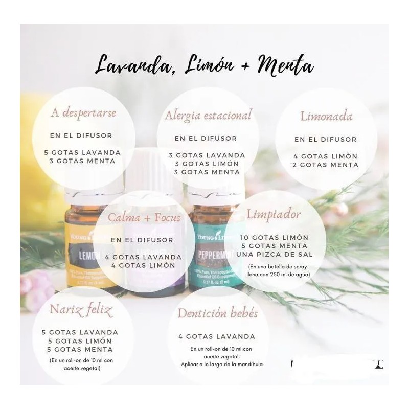 Kit Aceites Esenciales Lavanda, Limón Y Menta Young Living