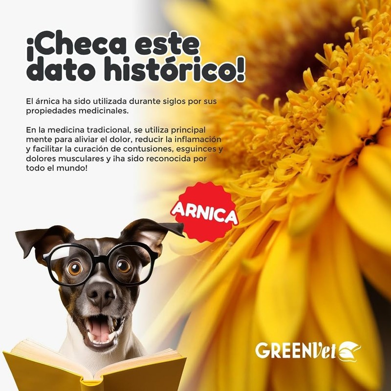 Greenvet Arnica