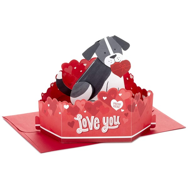 Hallmark Paper Wonder Pop Up Valentines Day Card with Sound and Motion (Dog)