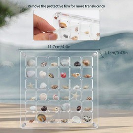TaoQ C Acrylic Magnetic Seashell Display Box, 36 Grids Clear Seashell Storage Box Seashell Display Box Transparent Seashell Storage for Seashell Bead, Nail, Jewelry