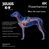 Julius-K9 IDC Powerharness for dogs