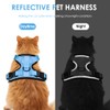 Cat Harness with Lead, Escape Proof Cat Lead Set, Adjustable,