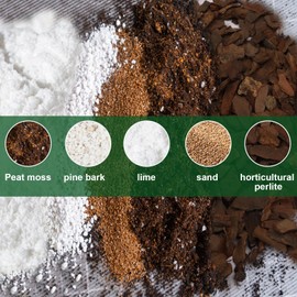 Doter All-Natural Potting Soil for Anthurium & Indoor Plants 1qt - Enhanced Drainage, No Additives | Premium Indoor Plant Soil Mix