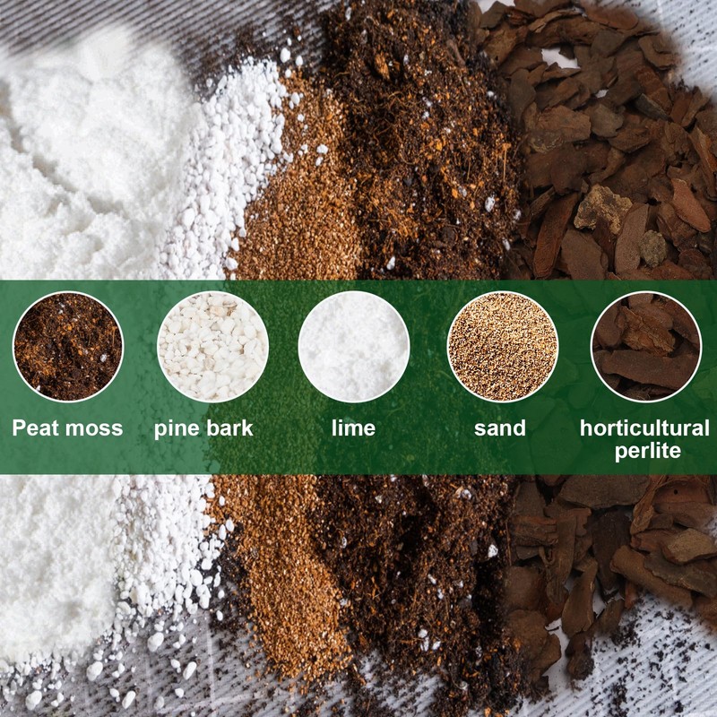 Doter All-Natural Potting Soil for Anthurium & Indoor Plants 1qt