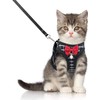 BLUWTE Cat Harness and Leash Set for Escape Proof,Breathable Dog