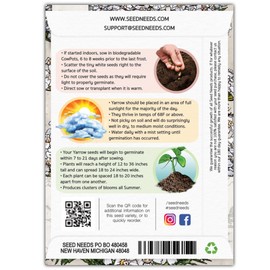 Seed Needs, White Yarrow Seeds - 500 Heirloom Seeds for Planting Achillea millefolium - Perennial Host Plant to Attract Monarch Butterflies & Other Pollinators (2 Packs)