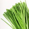 VIMOA Garden Twist Tie Plant Ties Strips 200 pcs 6”