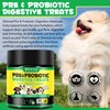 Probiotics for Dogs, Pre and Probiotics for Dogs, Support Gut