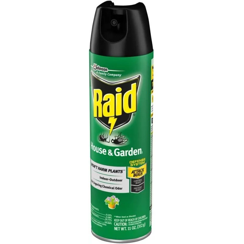 Raid House and Garden Aerosol 11 Ounce (Pack of 1)