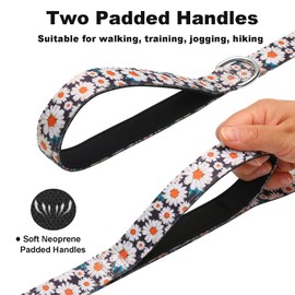 Fidohug 6ft Dog Leash with Two Padded Handles, Heavy Duty Strong Nylon Pet Leash with Soft Neoprene Handle for Small Medium Large Dogs, Daisy