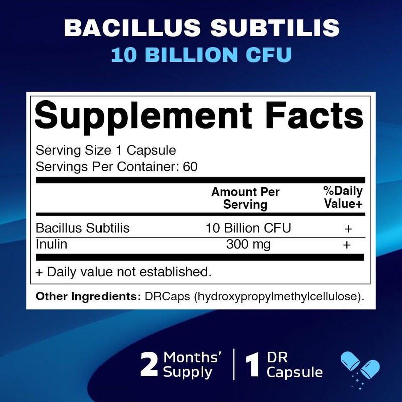 Vitamatic Bacillus Subtilis 10 Billion per DR Capsule - 60