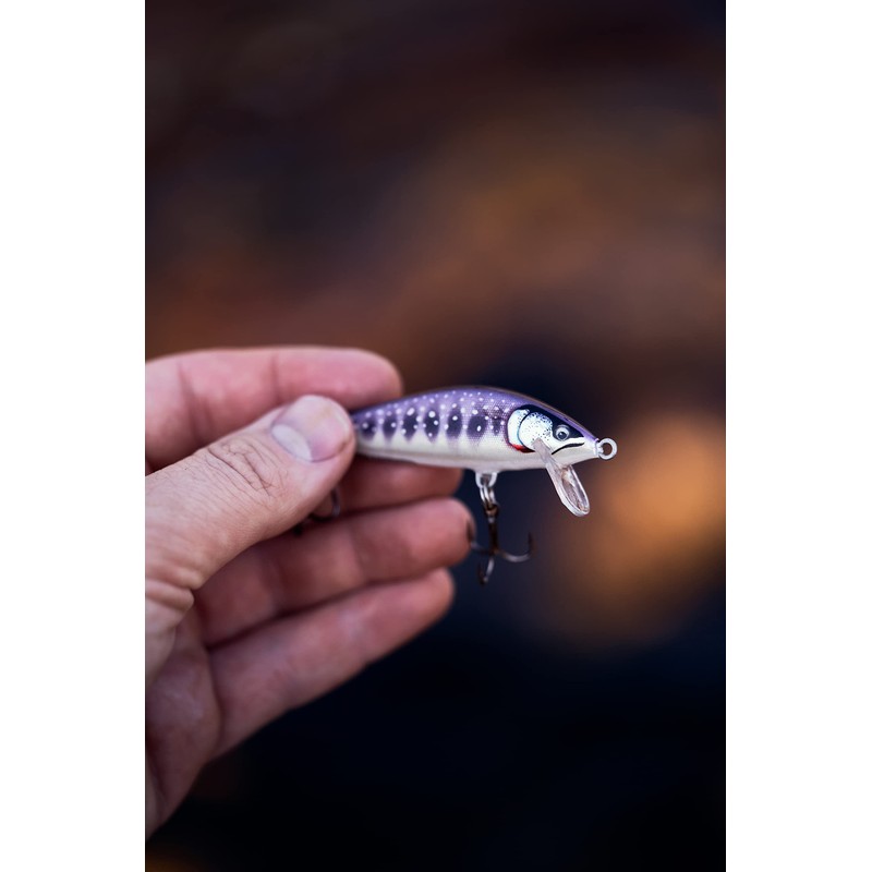 Countdown Elite 55 Gilded Iwana