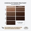 Four Reasons Color Mask - Chocolate - (27 Colors) Toning