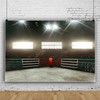 MIRRORANG Boxing Backdrop for Potography Boxing Fight Sadium Cheer Adudienc