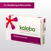 Kaloba Filmtabletten – Pflanzliches Arzneimittel bei Erkältung & Bronchitis, bei