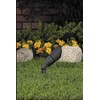 Vista Pro Up and Accent Landscape Lighting GR 2216 Black
