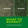 Scotts Turf Builder Rapid Grass Sun and Shade Mix, Combination