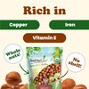 Food to Live Organic Hazelnuts, 4 Pounds – Non-GMO, Raw