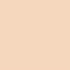 AP Beauty [에이피뷰티][여배우 PICK!] 프라임 리저브 리트리니티 메쉬 파운데이션 22N+블랙