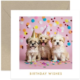 Birthday Wishes Greeting Cards - Cute Puppies in Paorty Hats Art - Birthday Card for Female Friend - Ideal for Dog Lovers - Party Time Card for Daughter Sister Niece Auntie Mum Grandmother
