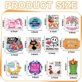 Fingertip WD 12 PCS Funny Fridge Magnets, Cute Meme Refrigerator Magnets Fridge Magnets Adult Duck Dumpster Word Skull Anime Magnets for Home Office Kitchen Car Decoration