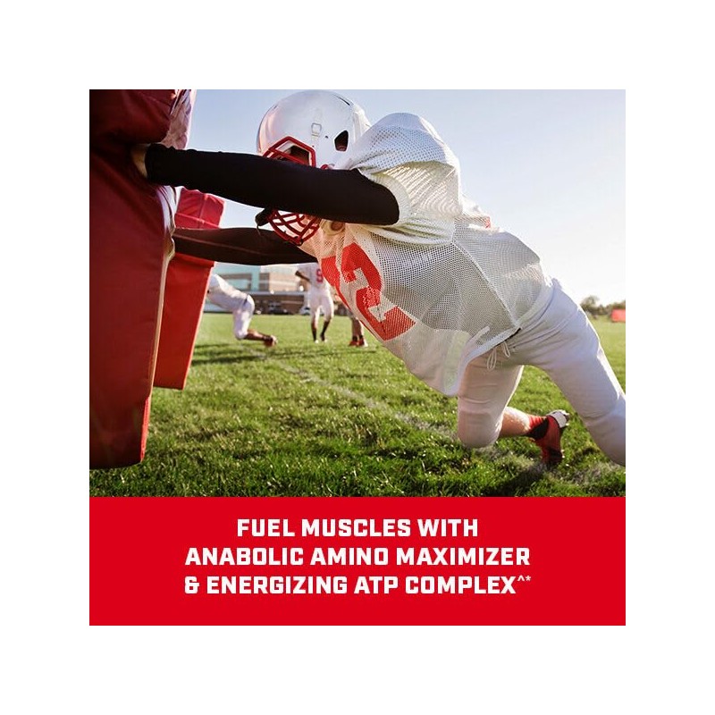 GNC Pro Performance Bulk 1340 Mass Gainer Protein Powder, 50g,