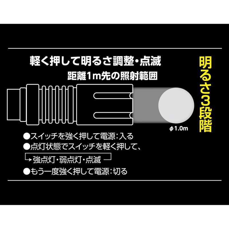 beru-hu (Beruf) 1LED Brake Light Slim Beam ganmetarikku 87540