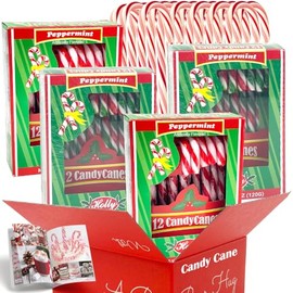 Candy Cane Flavored | Individually Wrapped - Full Size 5" Inches | MUCHAI Box & Plus Booklet | Christmas Stocking Stuffer Gift (4 Boxes (12ct) 48 Total, Green Red White Stripes Peppermint Canes)