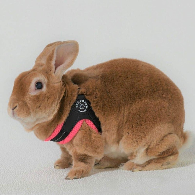 TRE PONTI Fibbia Soft Mesh Cushioned Breathable Harness for Dogs
