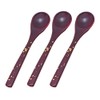 若泉 Lacquerware 割烹 Lacquerware 茶碗蒸si Spoon 溜塗 Gold Foil 3 Piece