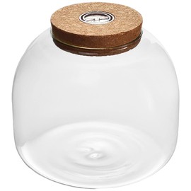 PATKAW Glass Terrarium Jar Container Succulent Plant Terrarium Ecological Bottle with Cork Lid for Succulent Fern Moss Air Plants Display