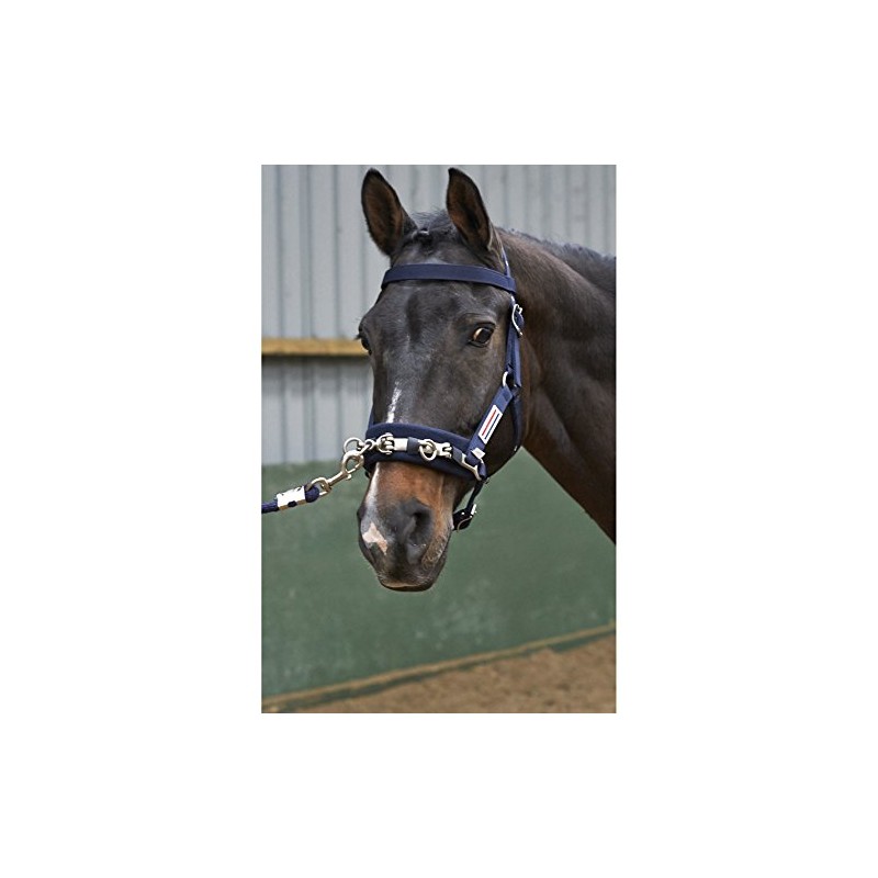 Whitaker Unisex's Cavesson Lunge Navy Cob, Blue