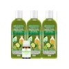 3 Shampoos De Bergamota Y 1 Aceite