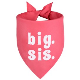 Agroon Big Sister Dog Bandana Soft Pink Large 1PCS, Adjustable Triangle Scarf, Pregnancy Announecment, New Baby for Family.
