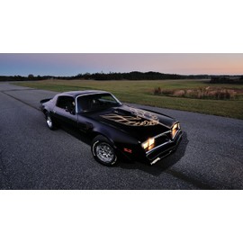 Palmetto Posters 24x36 Poster: Pontiac Firebird car Bumper 110797