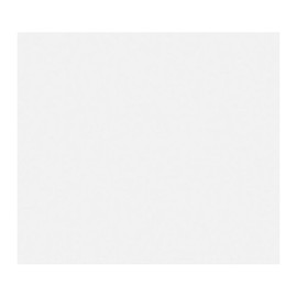 Irisette 4005367425431 Cushion Paris 8000/10 Design 80 x 80 CM White