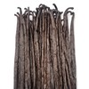Zazou Emporium - Madagascar Vanilla Pods - Pack of 10