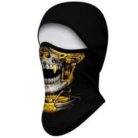 Eikuni Balaclava Face Mask Men Women for Winter Cold Weather Ski Cycling Ski Hunting (Skull Mechanical Gray Gold Face)