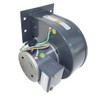 1TDP5, 1TDP5A, 4C442 Dayton Direct OEM Interchange Replacement Blower