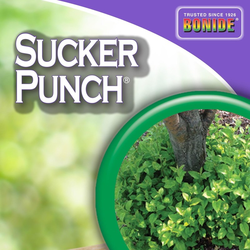 Bonide Sucker Punch, 8 oz Ready-to-Use Sprout Control Liquid with