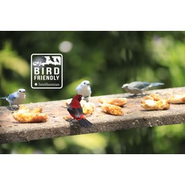 Café Mesa de los Santos – Premium Colombian Whole Bean Coffee, Medium Roast, 88 Oz Bag – Organic Certified, Single source, Low acid, Bulk, Bird Friendly, Shade grown