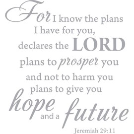 Decaltor Silver 15" x14" for I Know The Plans I Have for You declares The Lord Jeremiah 29:11 Quotes Sayings Words Art Decor Lettering Vinyl Wall Art Inspirational Uplifting Bible