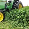 Antler King Clover Fuel Food Plot Enhancer | Liquid Fertilizer