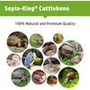 Sepia King - Medium - 100% Natural Calcium Supplement -