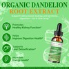 HZZYPLANT Dandelion Root Liquid Drops